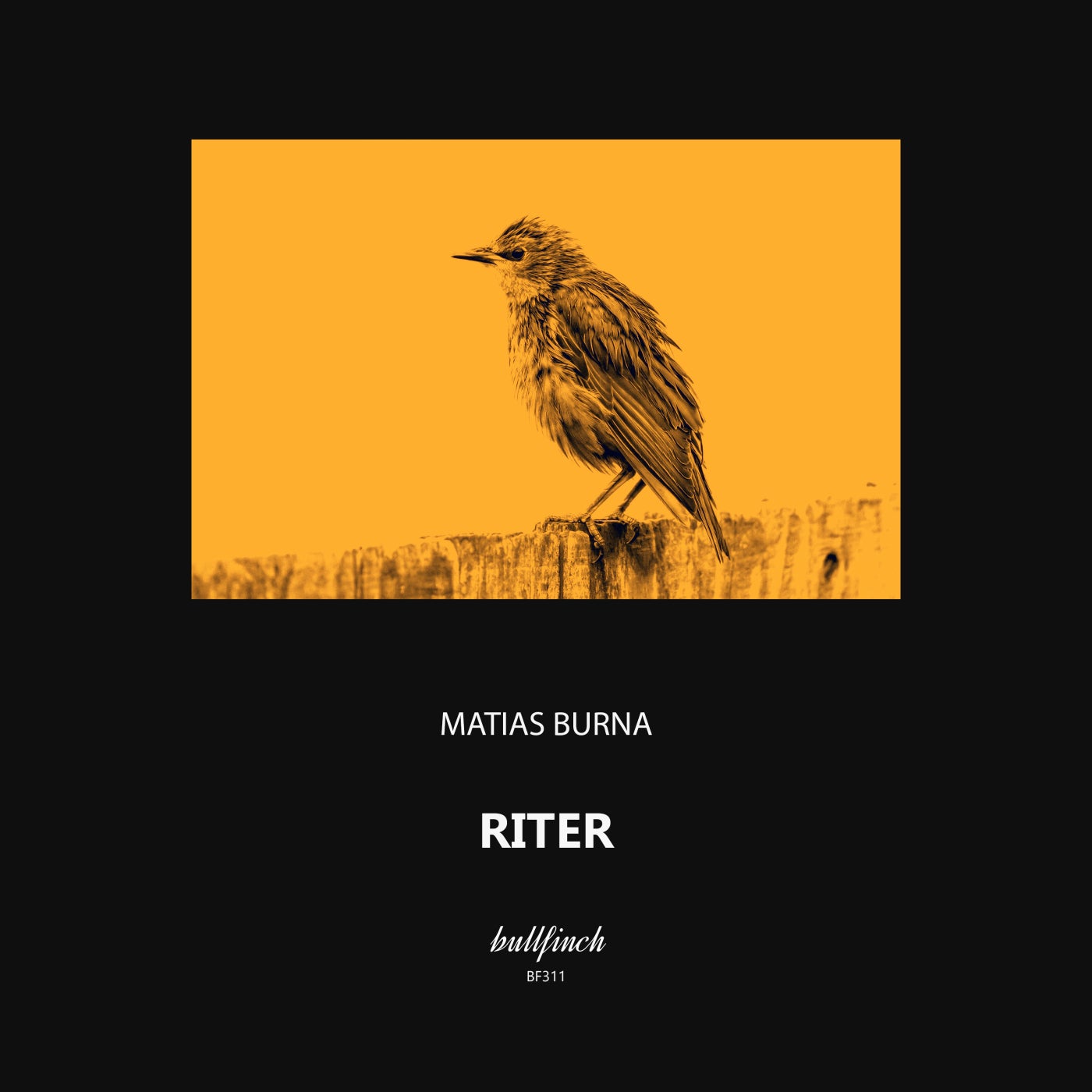 Matias Burna – Riter [BF311]